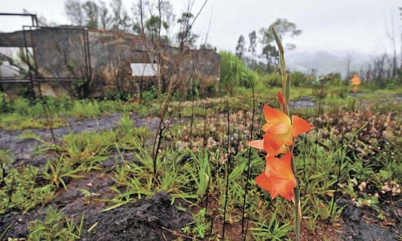 Belo Horizonte - MG. 125 anos de Belo Horizonte. Estrutura abandonada na Serra do Cachimbo, a serra mais alta de Belo Horizonte