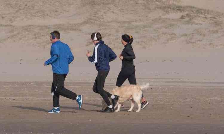 trs adultos e um cachorro fazendo corrida na praia