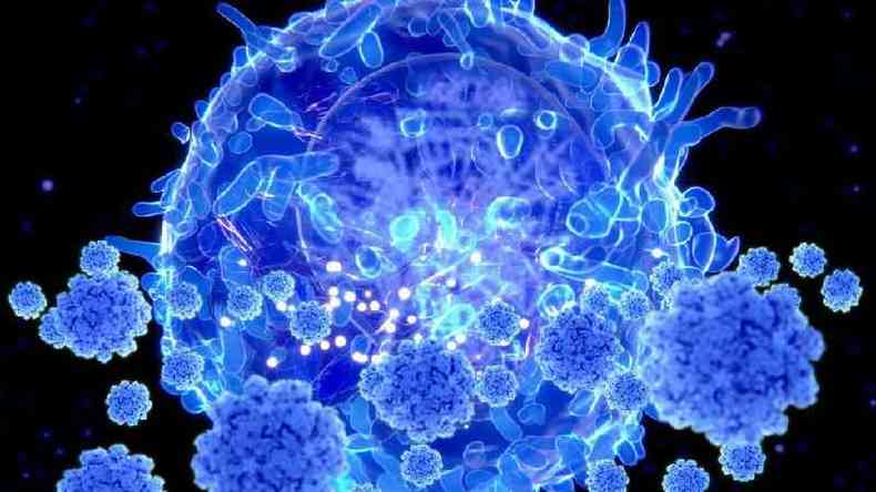 Imagem de uma clula T atacando um coronavrus; mais pesquisas tm mostrado boa memria imune das clulas T ao coronavrus(foto: SCIENCE PHOTO LIBRARY)
