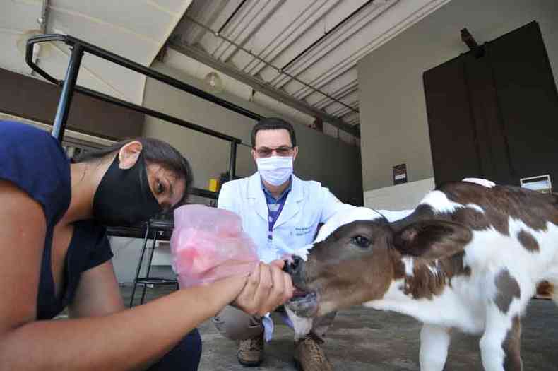 Complexo mdico veterinrio do UniBH receber grupos de, no mximo, quatro pessoas, diz o coordenador do curso de medicina veterinria, Breno Mouro de Sousa (foto: GLADYSTON RODRIGUES/EM/D.A.PRESS)