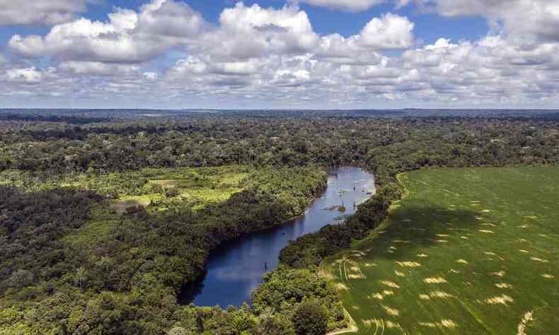 Floresta Nacional dos Tapajs