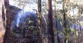 Chamas j queimaram 50 mil metros quadrados de vegetao na Serra do Curral(foto: Benny Cohen/EM/DA Press)