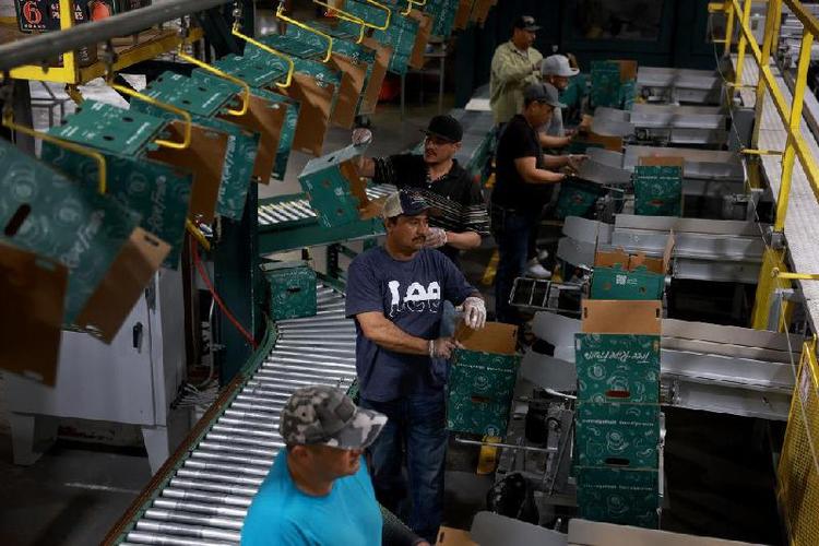 Trabalhadores em fbrica