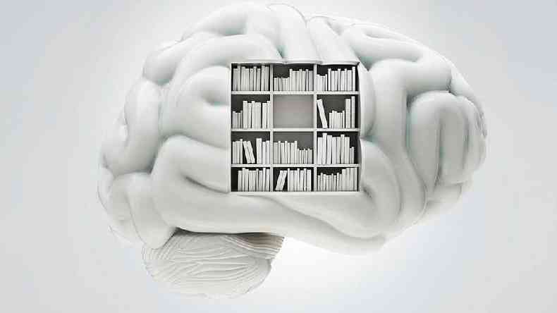 Ilustrao mostra crebro com livros dentro