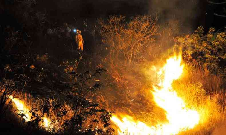 Incndio nas imediaes da Grande BH: regio mais vulnervel ainda no enfrentou grandes ocorrncias(foto: Marcos Vieira/EM/D.A Press - 31/7/19)