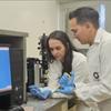 Biomaterial de colágeno e açúcar de algas estimula regeneração óssea; veja