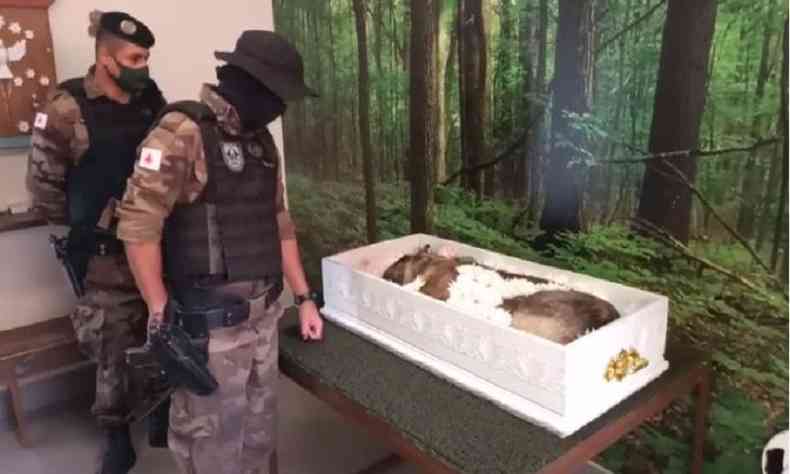 Animal foi cremado depois de cerimnia com honras militares(foto: PMMG)