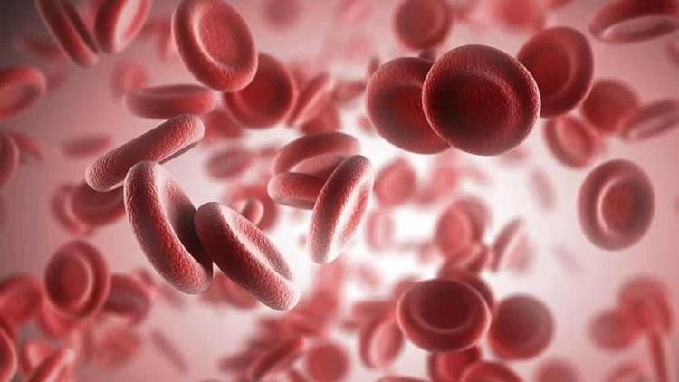 Sangue