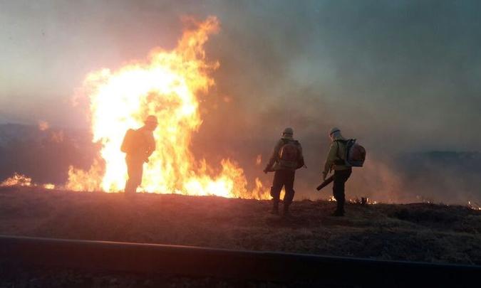 Incêndios em matas colocam em risco nascentes e causam mortes de animais silvestres(foto: Corpo de Bombeiros/Divulgação) Incêndios em matas colocam em risco nascentes e causam mortes de animais silvestres(foto: Corpo de Bombeiros/Divulgação)