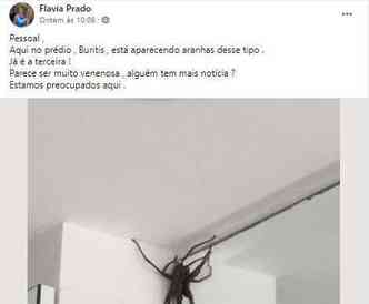 Post no facebook relatando presena de aranhas 'gigantes' viralizou no Facebook(foto: Reproduo/Facebook)