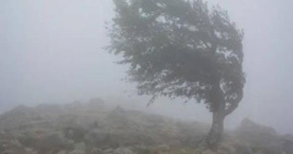  Minas tem 54 cidades em alerta para vendaval, veja lista 