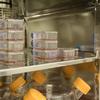Pessoas recebem sangue criado em laboratório em teste inédito