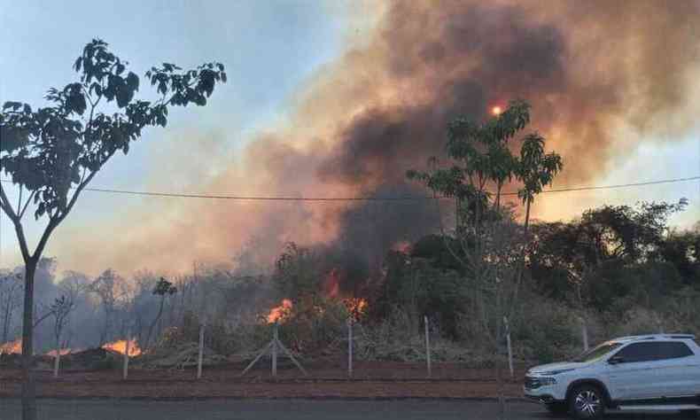 Incndio na Reserva do Capo da Lagoa, em Ituiutaba