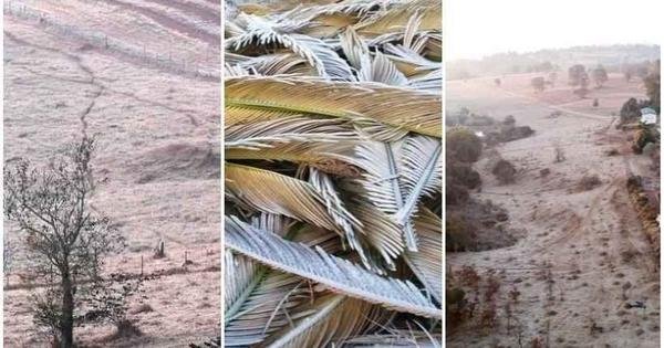 Onda de frio chega com recordes e imagens de geadas e até neve impressionam - Vimarsana News
