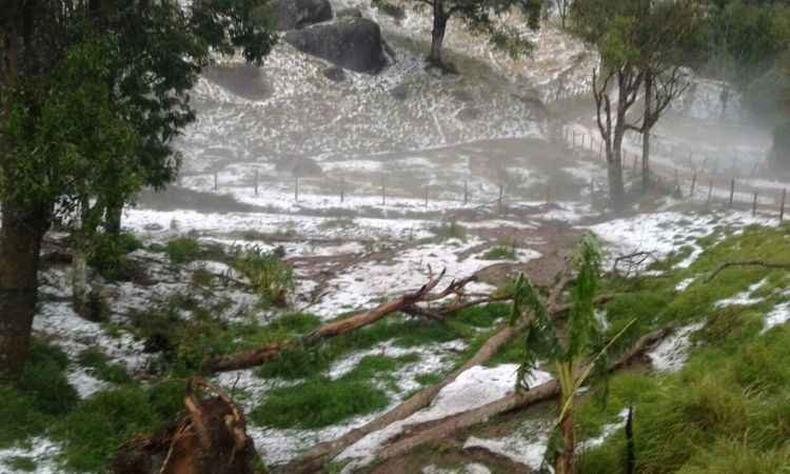 Planta��es ficaram tomadas pelo branco dos granizos(foto: Whatsapp/Divulga��o)