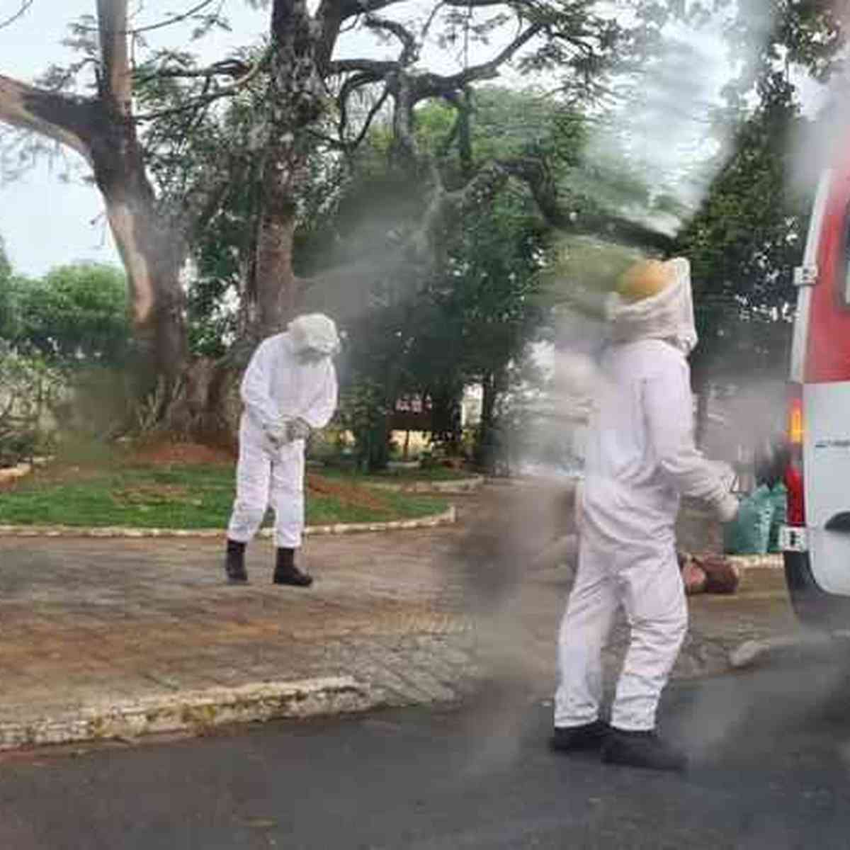 Idoso de 78 anos que andava a cavalo é atacado por abelhas e morre - Gerais  - Estado de Minas