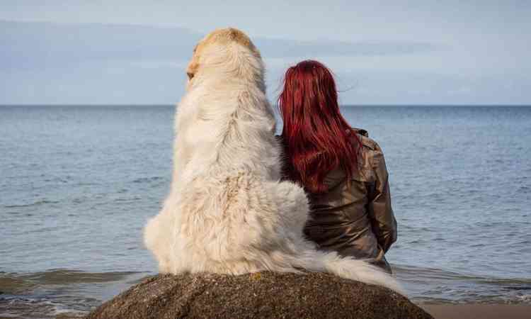 cachorro e dona olhando o mar