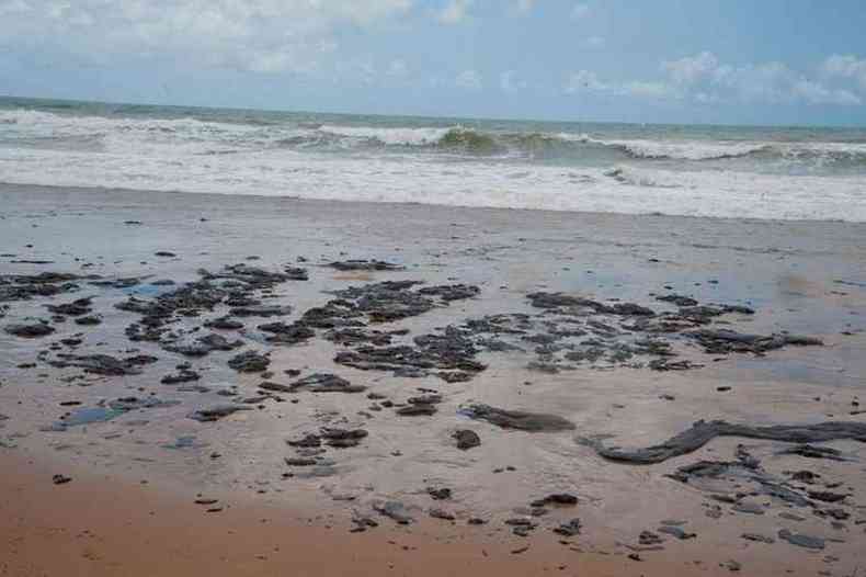 Mancha de leo atinge o litoral do Nordeste(foto: Adema/Governo de Sergipe)