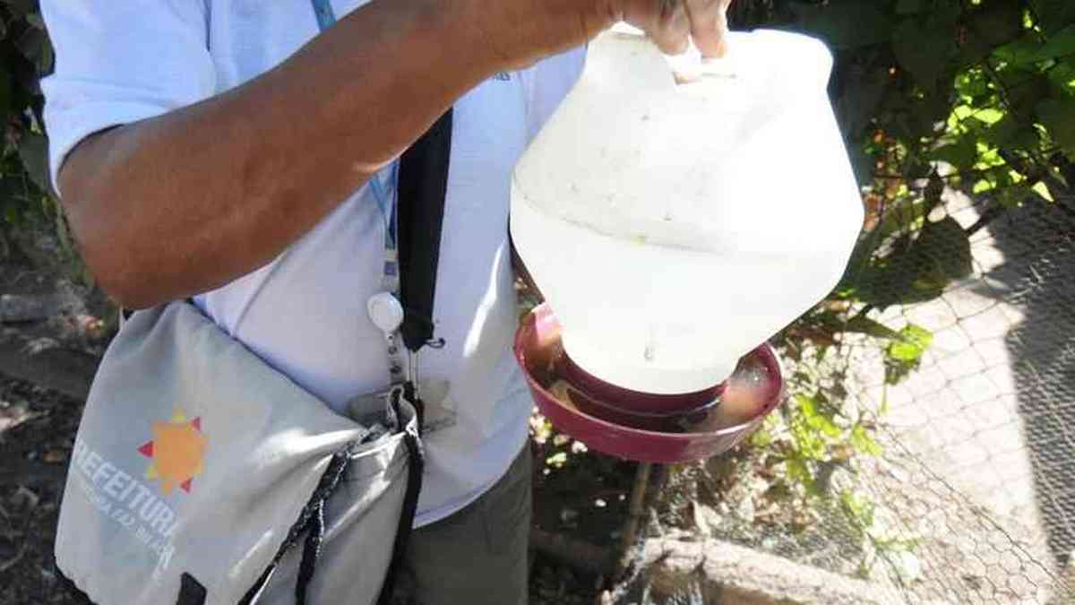 Dengue in Minas: deaths increased by more than 500% compared to 2022 – Gerais