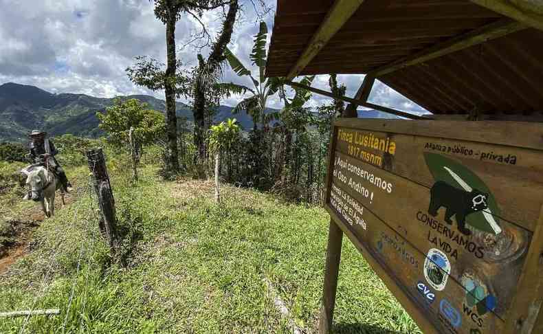 Cenário de plantações agrícolas no vale colombiano