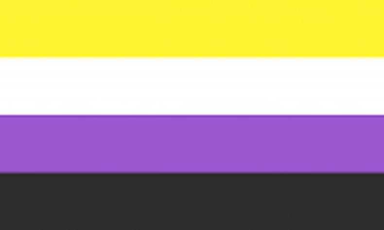 Bandeira NB tem as cores amarelo, branco, roxo e preto(foto: Reprodução) Bandeira NB é composta por quatro faixas horizontais nas cores amarelo, branco, roxo e preto