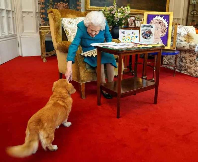 Uma foto divulgada em 4 de fevereiro de 2022 em Londres, e tirada em janeiro, mostra Elizabeth 2 acariciando Candy, sua dorgi, enquanto ela observa uma exposio de recordaes de seus jubileus de ouro e platina no Castelo de Windsor