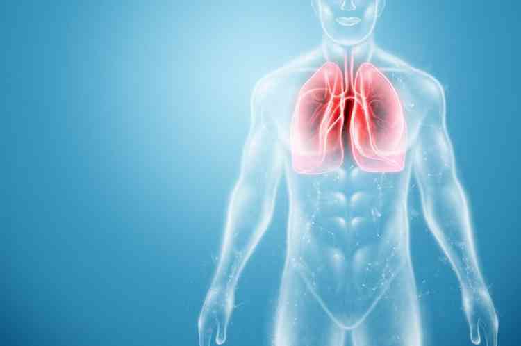 Expectativa  de 32,5 mil novos casos de cncer de pulmo no Brasil at 2025