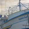 Marinha resgata cinco sobreviventes de barco que naufragou em SC