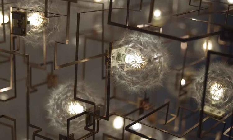'Fragile future', escultura feita com dentes-de-leo e LED 