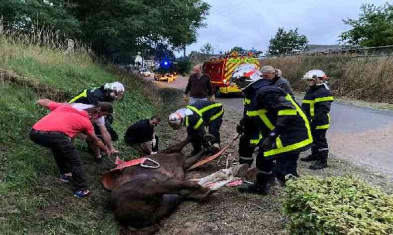 Maus-tratos a cavalos esto sendo investigados pela polcia francesa(foto: Loick Crampom/AFP)
