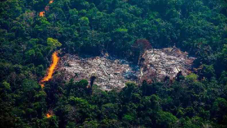 rea desmatada dentro da Terra Indgena Menkragnoti, no Par; Estado foi responsvel por 46,8% do desmatamento no pas no ltimo ano(foto: Getty Images)