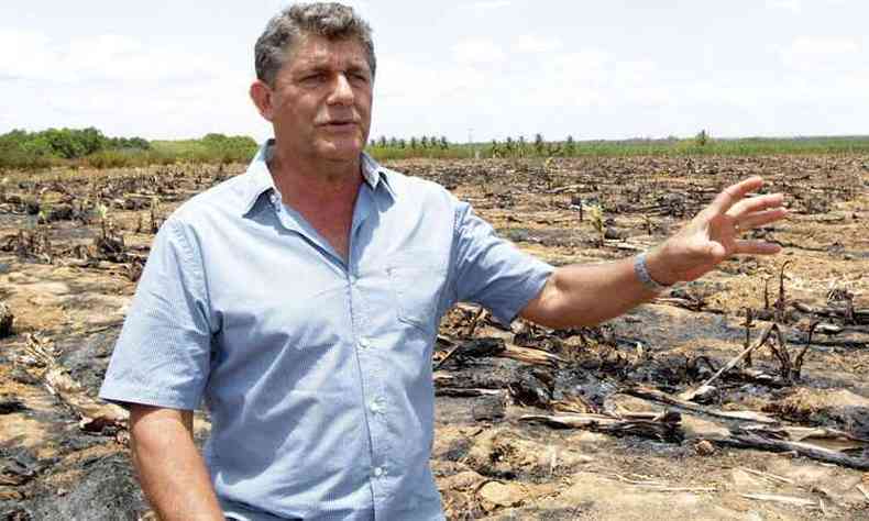 Inconformado, o produtor Gustavo Lage mostra a rea de 40 hectares onde se viu obrigado a queimar os restos da plantao de banana, com perda de R$ 800 milhes por ano(foto: Solon Queiroz/ Esp.EM )