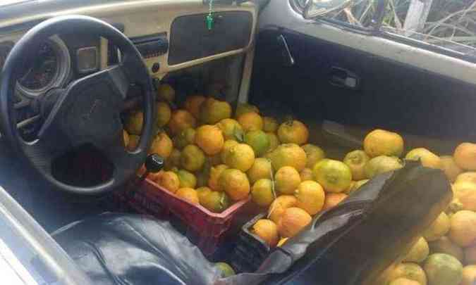 Fusca carregado com tangerina foi parado na blitz e motorista preso embriagado(foto: PMRv/Divulgao)