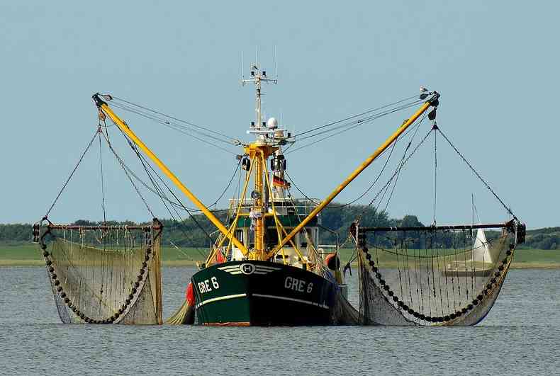 Brasil participa com projeto sustentvel da pesca de arrasto, protegendo espcies ameaadas de extino(foto: Reproduo/Pixabay)