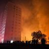 Incêndios florestais ameaçam a saúde de 2,2 bilhões de pessoas