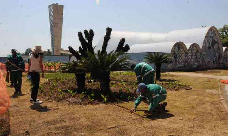 A custo zero, fora-tarefa reconstitui os jardins de Burle Marx(foto: Paulo Filgueiras/EM/DA Press)