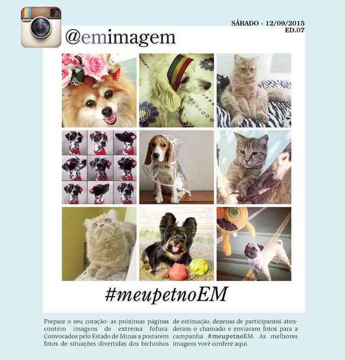 Confira as fotos enviadas ao @emimagem para a campanha #meupetnoEM