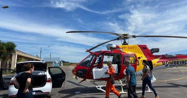 PRIMEIRO CASO DE RAIVA HUMANA EM MORADOR DE MINAS DO ANO É INVESTIGADO - RÁDIO VOZ DA VERDADE