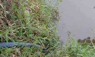 Eles usavam uma mangueira para retirar a gua da nascente (foto: Guarda Municipal de Meio Ambiente/Divulgao)