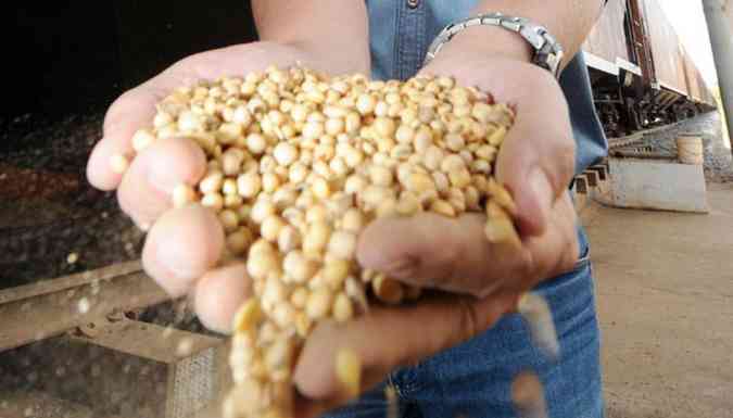 Os preos mais altos das commodities agrcolas, sobretudo dos gros, permitiu ao produtor se capitalizar a ampliar os desembolsos na lavoura(foto: Gladyston Rodrigues/EM/D.A Press)