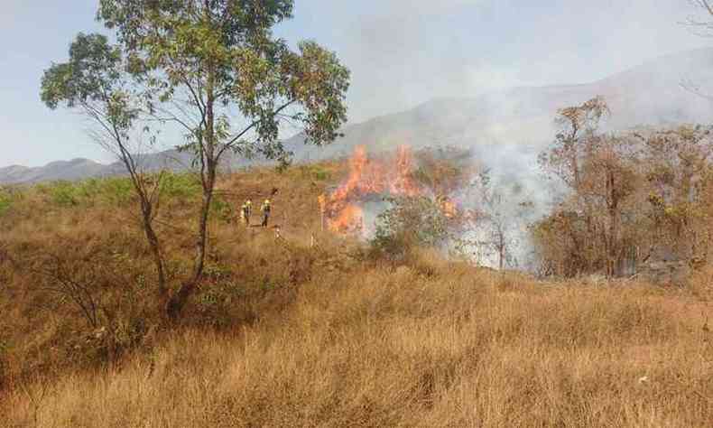 Bombeiros combatem duas linhas de fogo nesta manh(foto: Corpo de Bombeiros/Divulgao)