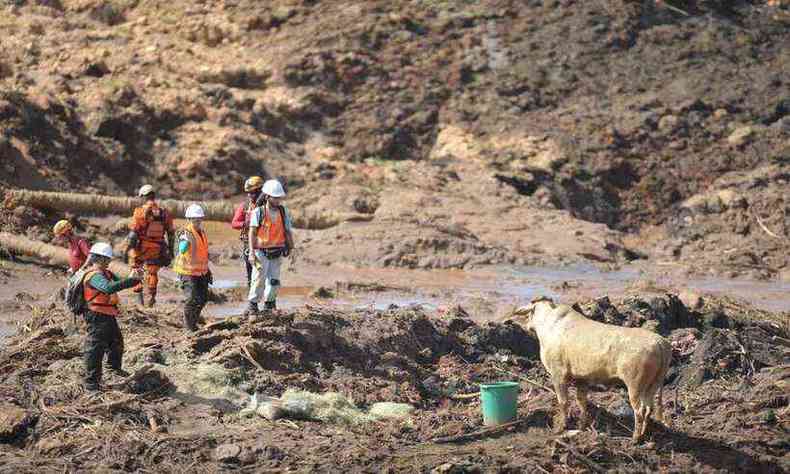 Rompimento da barragem B1 da Mina do Feijo, em Brumadinho, matou 270 pessoas em 25 de janeiro de 2019(foto: Alexandre Guzanshe/EM/DA Press)