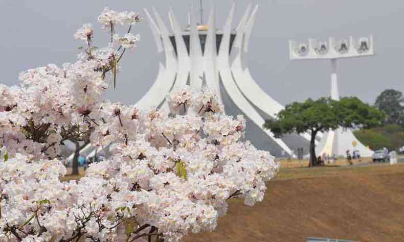 Catedral de Braslia, na capital federal(foto: carlos altman/em/d. a press)