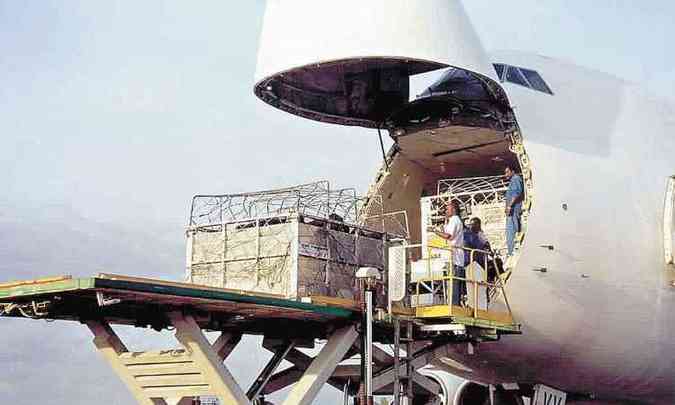 Preparao para embarque de bois em p em avio para exportao(foto: Fotos: Agroexport/Divulgao)