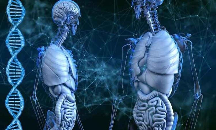 dois esqueletos rodeados pelo espiral do DNA