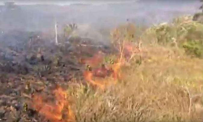 Chamas se espalharam rapidamente pela vegetação seca(foto: Reprodução/Youtube) Chamas se espalharam rapidamente pela vegetação seca(foto: Reprodução/Youtube)