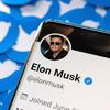 Twitter perde metade da receita com publicidade sob Elon Musk