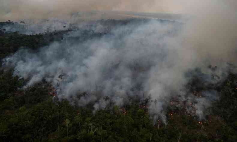 Incndio na Floresta Amaznica