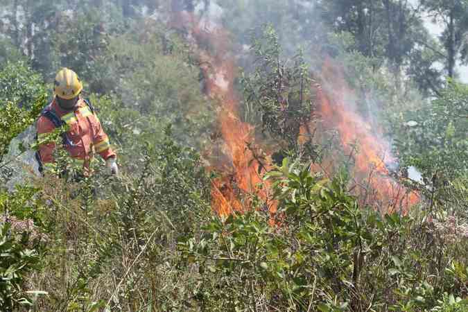 Corpo de Bombeiros Militar de Minas Gerais inicia treinamentos para o perodo de estiagem e refora efetivo para combate aos incndios florestais em 2021Edesio Ferreira/EM/D.A. Press