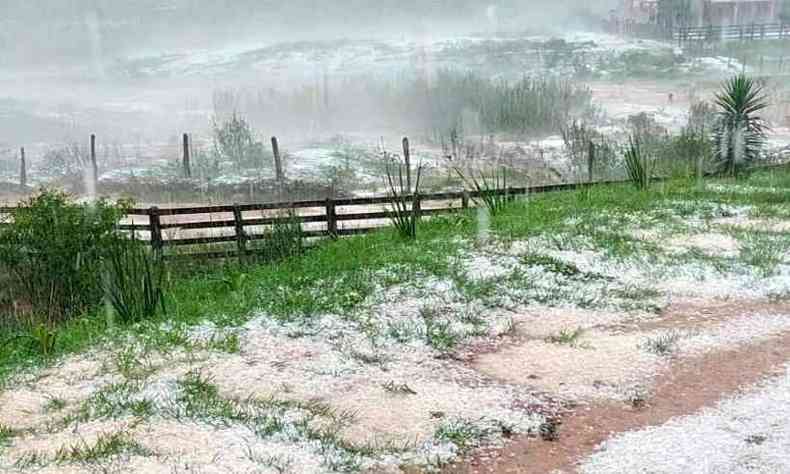 Chuva de granizo deixou prejuzos na zona rural do Sul de Minas(foto: Reproduo Internet)